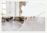 고광택 백색 사기그릇 지면 도와 600x1200 Mm 크기 쉬운 정비