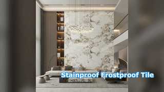 현대 도자기 타일 Stainproof Frostproof 바닥재