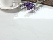 Carrara 백색 현대 사기그릇 도와 실내와 옥외 지면 및 벽 사용