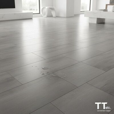 청소가 쉬운 포세린 시멘트 느낌 타일, 쉬운 유지 관리와 현대적인 디자인을 결합하고 결제팀 T T 등의 지원을 받음